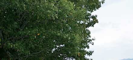 Naturfreundehaus St. Anton