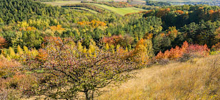 Naturpark Leiser Berge