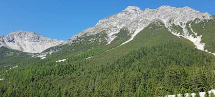 Die Matreier Ochsenalm liegt am Fuße der Serles.