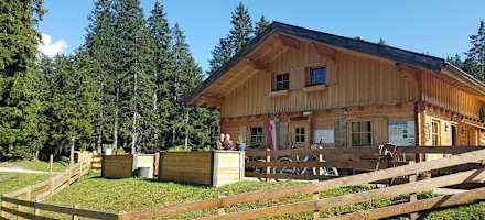 Die Matreier Ochsenalm liegt auf 1.558 m unweit des Klosters Maria Waldrast (1.638 m).