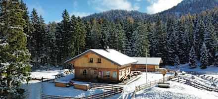 Die Matreier Ochsenalm liegt auf 1.558 m unweit des Klosters Maria Waldrast (1.638 m).