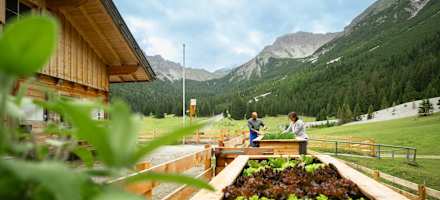 Die Matreier Ochsenalm liegt auf 1.558 m.