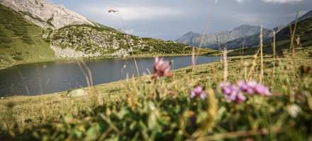 Oberhütte am See, Blick Richtung Oberhüttensattel