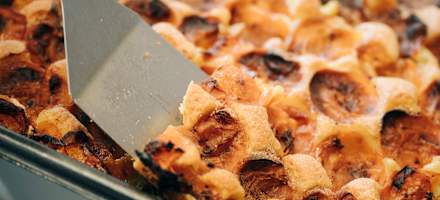 Blechkuchen mit Marillen am Pendlinghaus