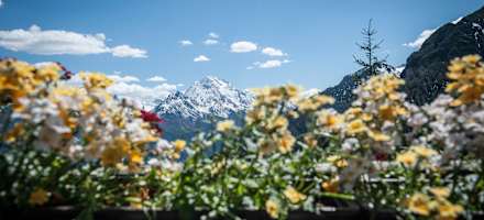 Ausblick von der Pfarrachalm