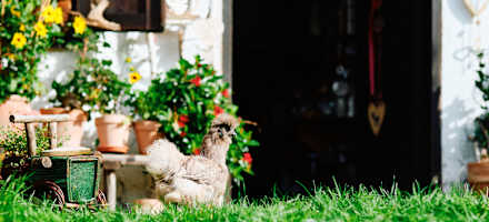 Der Gastgarten der Puglalm