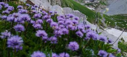 Rifugio Lambertenghi Romanin