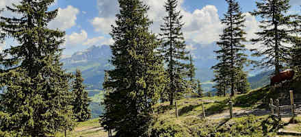 Schönes Wandergebiet rund um die Roßbrandhütte.