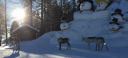 Rentiere vor der Rudi Hütte