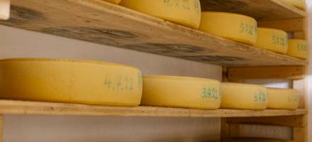 Selbstgemachter Käse auf der Rudnig Alm