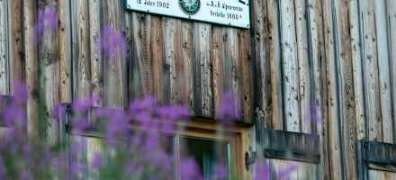 Lavendel vor der Sarotlahütte