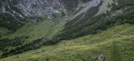 Blick auf die Hütte