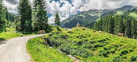 Weitläufige Almen und eine kleine Kapelle auf der Schönangerlam, Wildschönau
