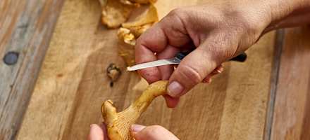 Eierschwammerln putzen auf der Sonnrißhütte