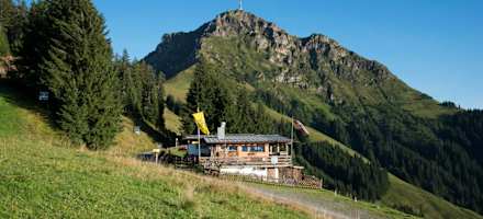 Die Stanglalm am Fuße des Kitzbüehler Horns