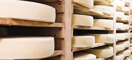 Der hergestellte Käse von der Stoankasern