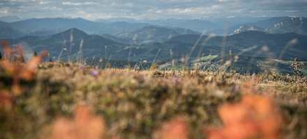 Schöckl-Ausblick im Herbst
