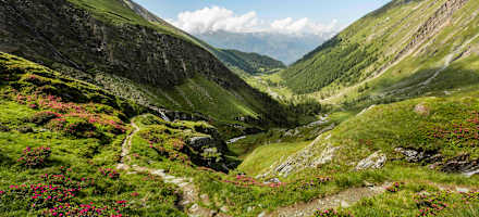 Zustieg zur Sudetendeutschen Hütte