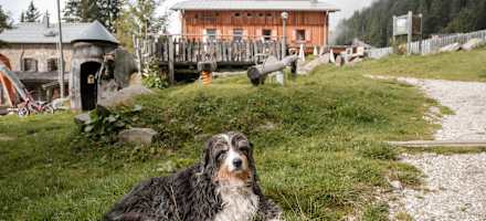 Das Hochganghaus im Naturpark Texelgruppe