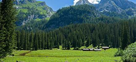 Wasseralm in der Röth