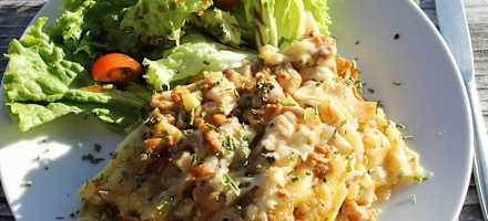 Kulinarik auf der Werfener Hütte