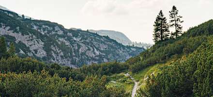 Auf dem Weg zum Wiesberghaus