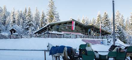 Pferdekutsche vor der Wildmoosalm