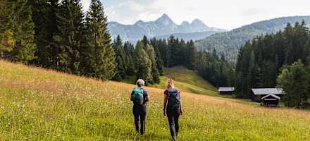 Auf dem Weg zur Wildmoosalm