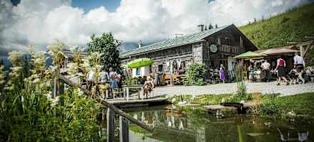 Die Zachhofalm in der Region Hochkönig