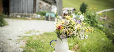 So idyllisch ist es auf der Zachhofalm
