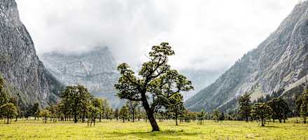 Der Ahornboden im Karwendel