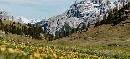 Bei der Dürrensteinhütte - Blick auf die Cristallogruppe