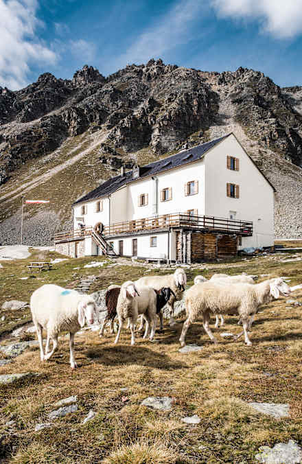 Die Düsseldorfer Hütte in Südtirol