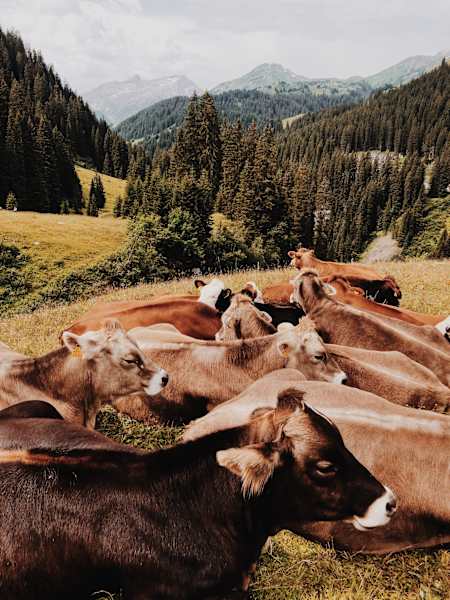 Ernst Merkinger Weitwandern Lechweg