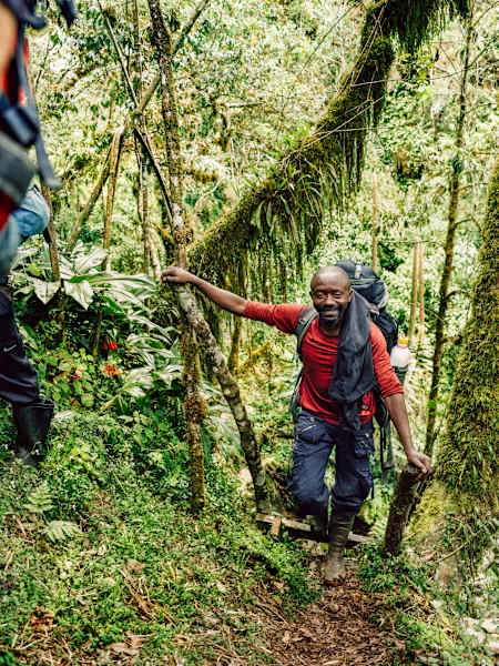 Guide Joshua auf rustikalen Holzleitern, die steile Passagen durch den üppigen Bergwald leichter begehbar machen