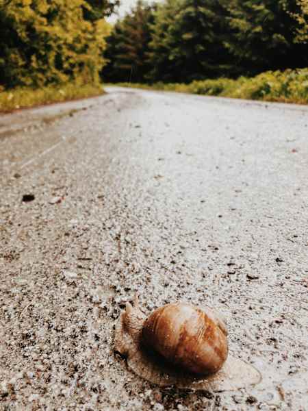 Ernst Merkinger wandert weit Steiermark