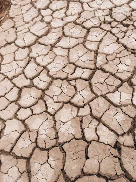 Ana Zirner Colorado River