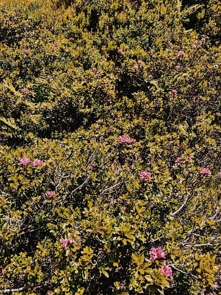 Ernst Merkinger wandert weit KAT Walk