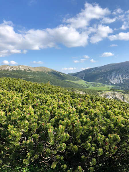 Blick zum Karl-Ludwig-Haus