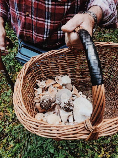 Ernst Merkinger wandert weit Dolomiten Höhenweg