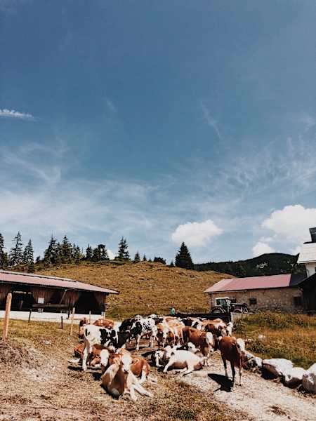 Ernst Merkinger wandert weit KAT Walk