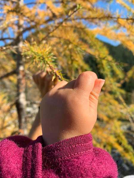 Herbst Wandern mit Kindern
