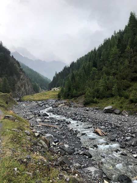 Schweizerischer Nationalpark