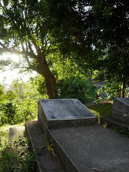 Blue Mountains Jamaika Whitfield Hall