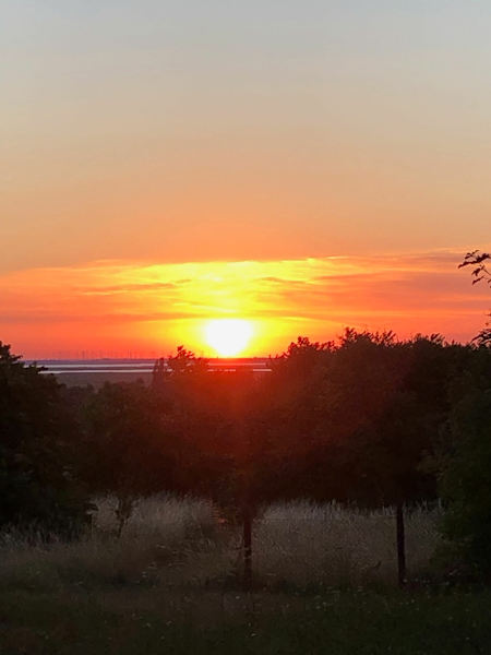 Burgenland Extrem Sommer 2021