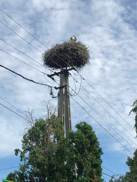 Burgenland Extrem Sommer 2021