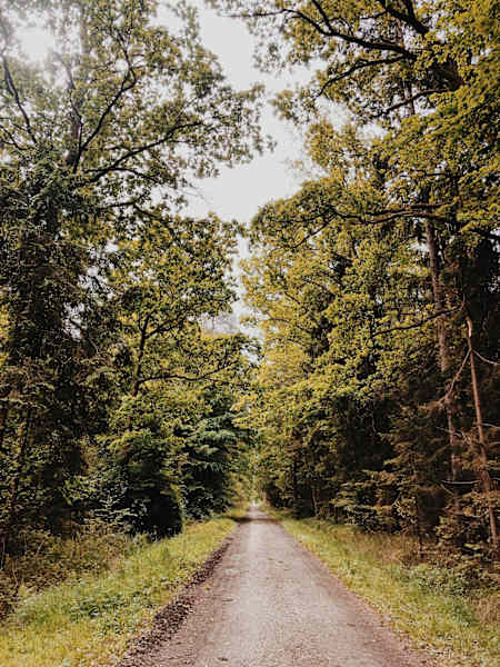 Ernst wandert weit Steiermark