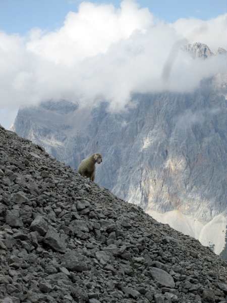 Klettern Coburger Hütte
