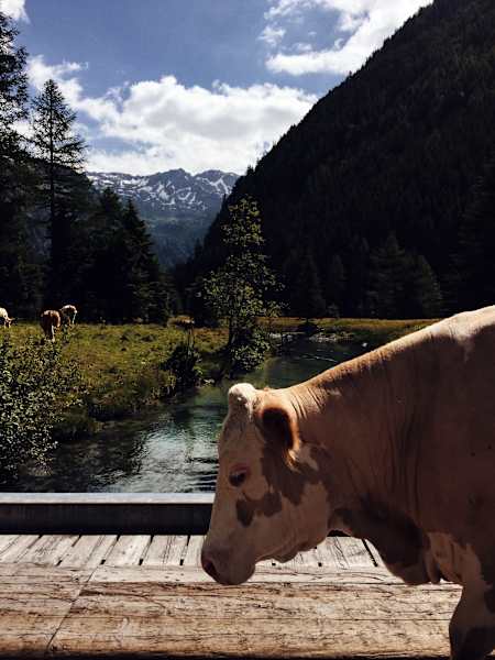 Ernst Merkinger Alpe Adria Trail