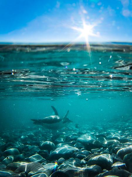 Polarmeer Fotostrecke